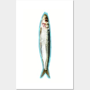 The Sardine Posters and Art